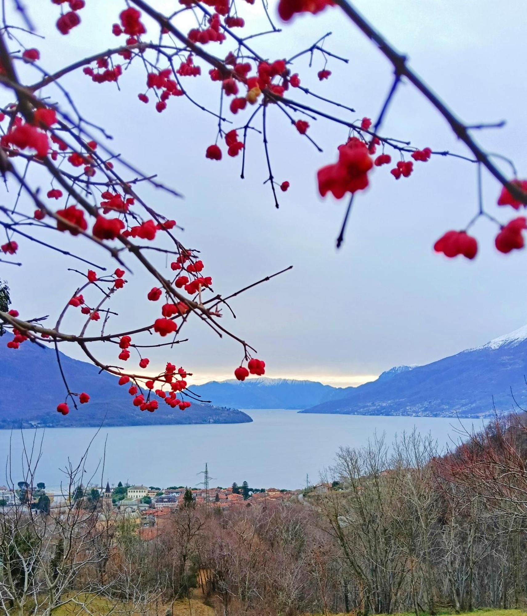 Lake Como Borgo Vignola Cremia Esterno foto